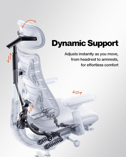 LiberNovo SE Ergonomic Office Chair, 5 Recline Positions