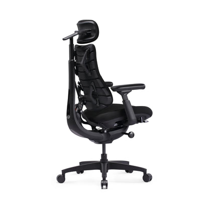 LiberNovo SE Ergonomic Office Chair, 5 Recline Positions