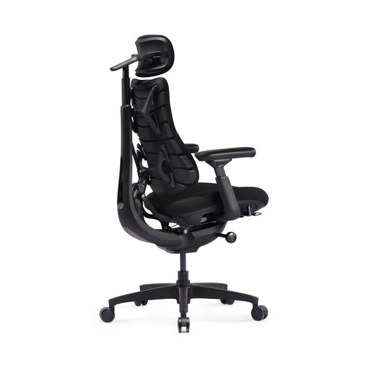 LiberNovo SE Ergonomic Office Chair, 5 Recline Positions