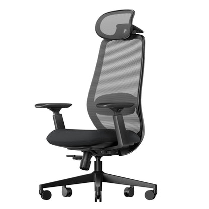 ProtoArc EC200 Ergonomic Office Chair, Adjustable Seat Depth