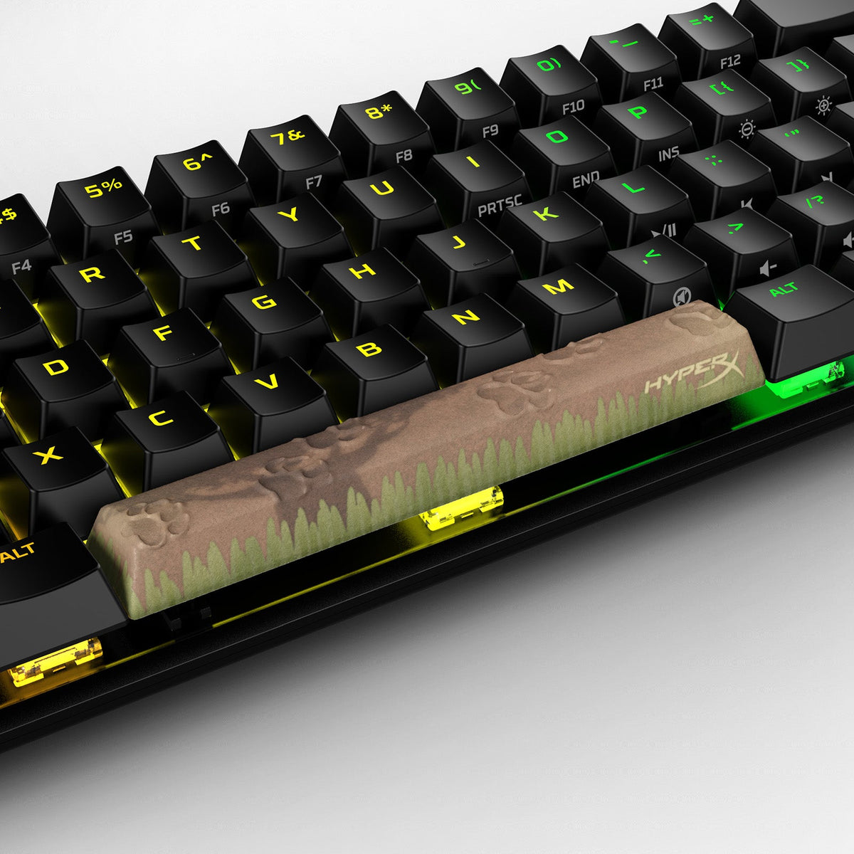 HX3D Spacebar - Safari